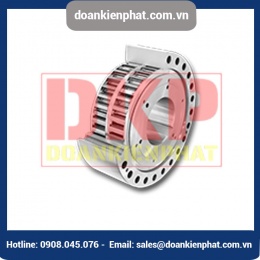 Bộ chống quay ngược Freewheel FXM RINGSPANN 