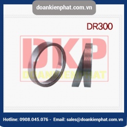 Khớp khóa trục DURI DR300