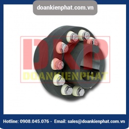 Khớp nối bu lông RINGSPANN REB DCO