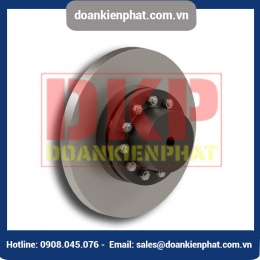 Khớp nối bu lông RINGSPANN REB DCS với đĩa phanh