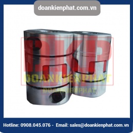 Khớp nối trục mềm RGT