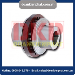 Khớp nối trục RINGSPANN RDA-ESO với rãnh then