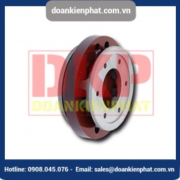 Khớp nối trục Ringspann RDA ESO with flange