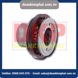 Khớp nối trục Ringspann RDA ESO with clamping with keyway