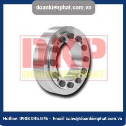 Thiết bị khóa trục RINGSPANN RLK608