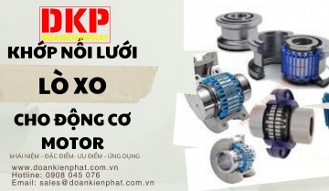 REVIEW KHỚP NỐI LƯỚI LÒ XO ĐOÀN KIÊN PHÁT