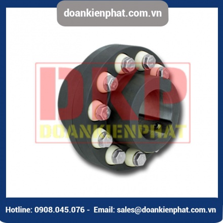 Khớp nối bu lông RINGSPANN REB DCO