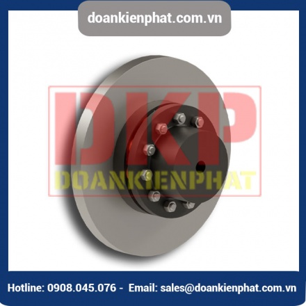 Khớp nối bu lông RINGSPANN REB DCS với đĩa phanh