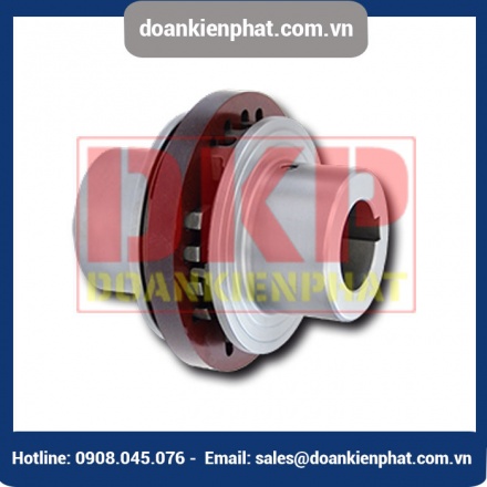 Khớp nối trục RINGSPANN RDA-ESO với rãnh then