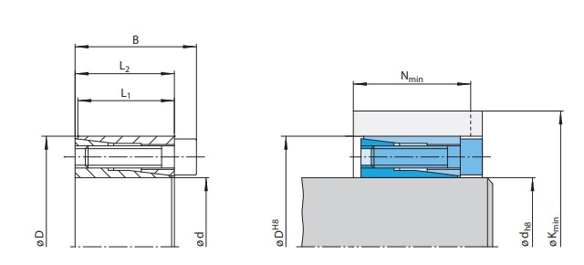 Khớp khóa trục Ringspann RLK350