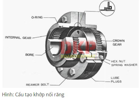 Khớp nối răng và cấu tạo khớp nối răng